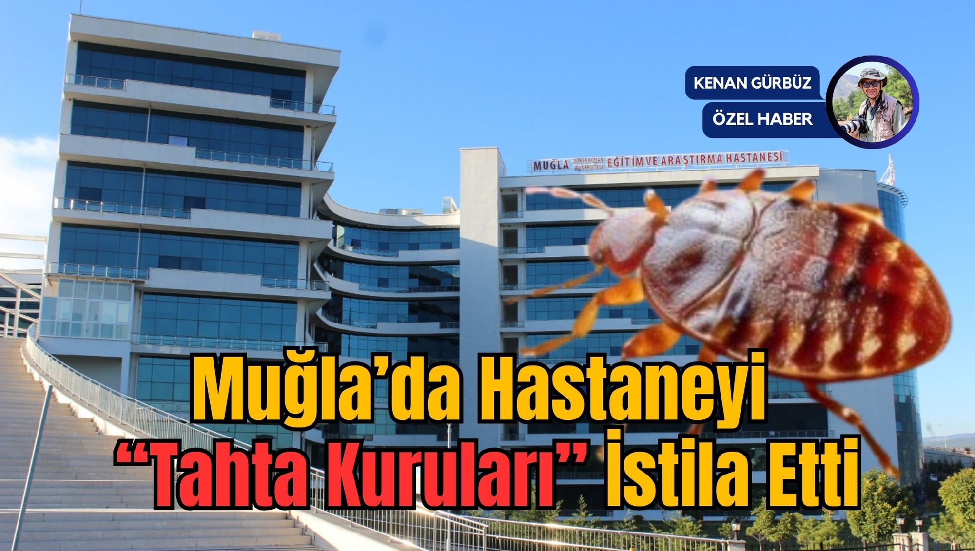 Muğla’da Hastaneyi “Tahta Kuruları” İstila Etti