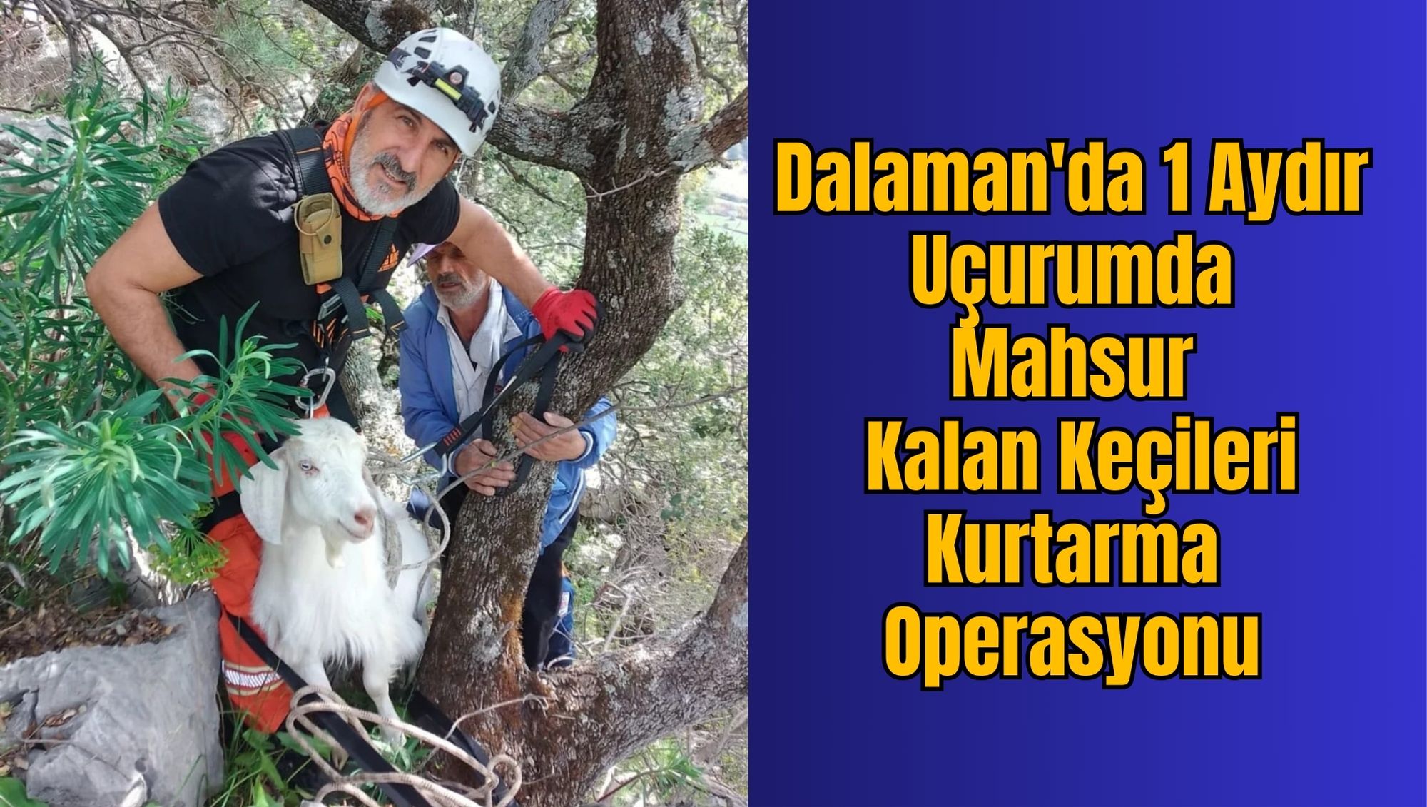 Dalaman'da 1 Aydır Uçurumda Mahsur Kalan Keçileri Kurtarma Operasyonu