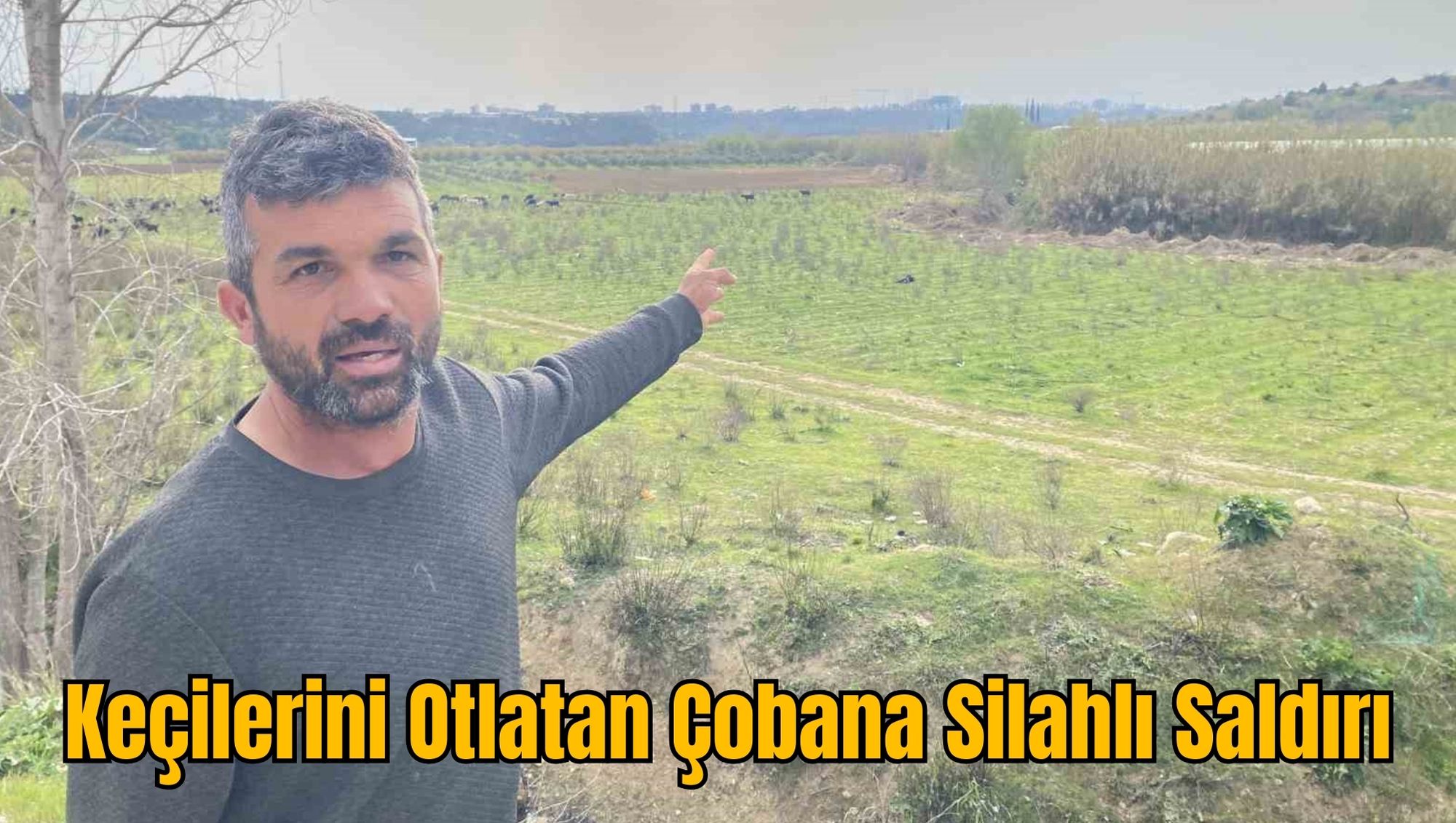 Keçilerini Otlatan Çobana Silahlı Saldırı
