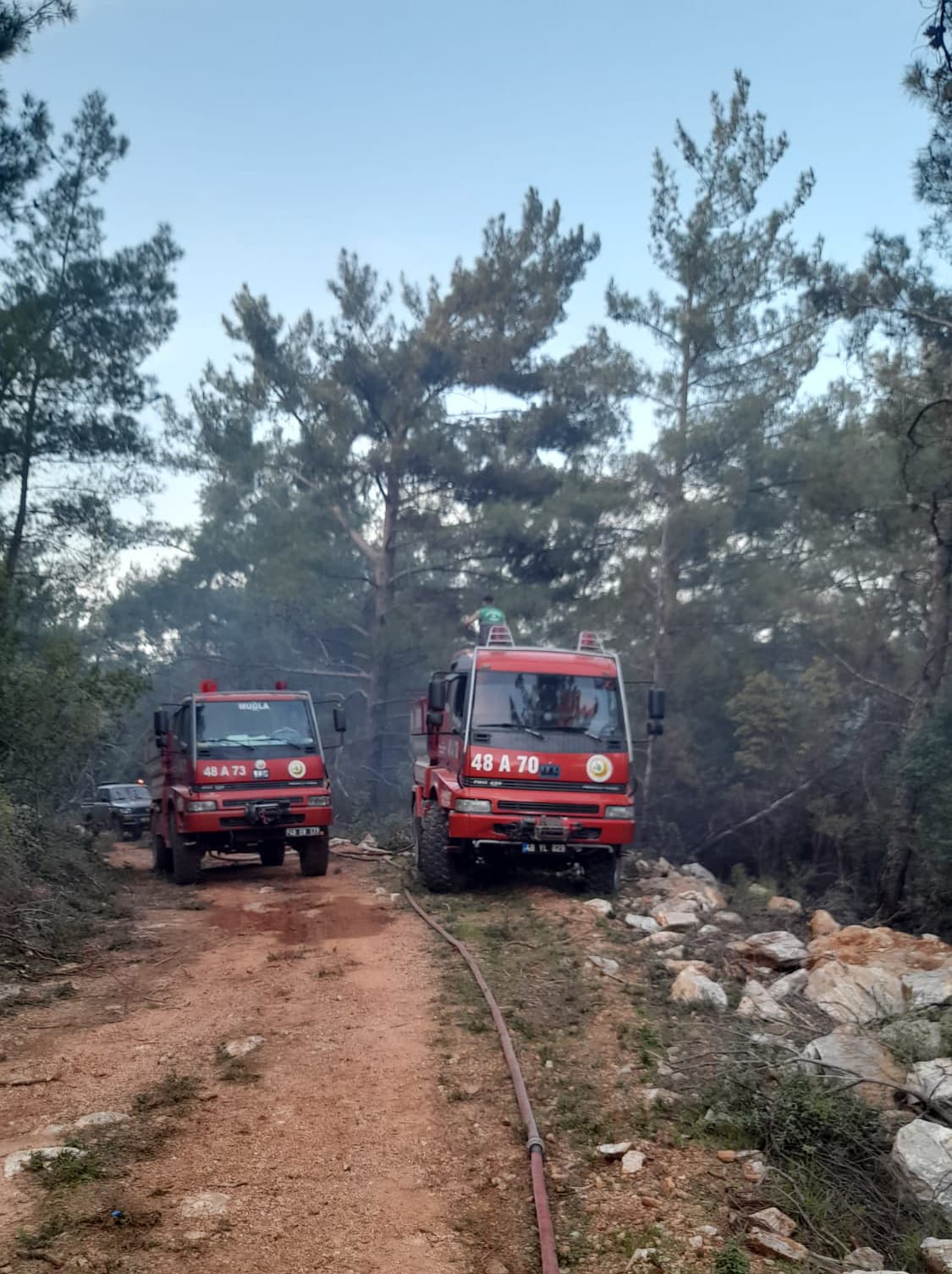 Milas'taki Yangın Kontrol Altına Alındı