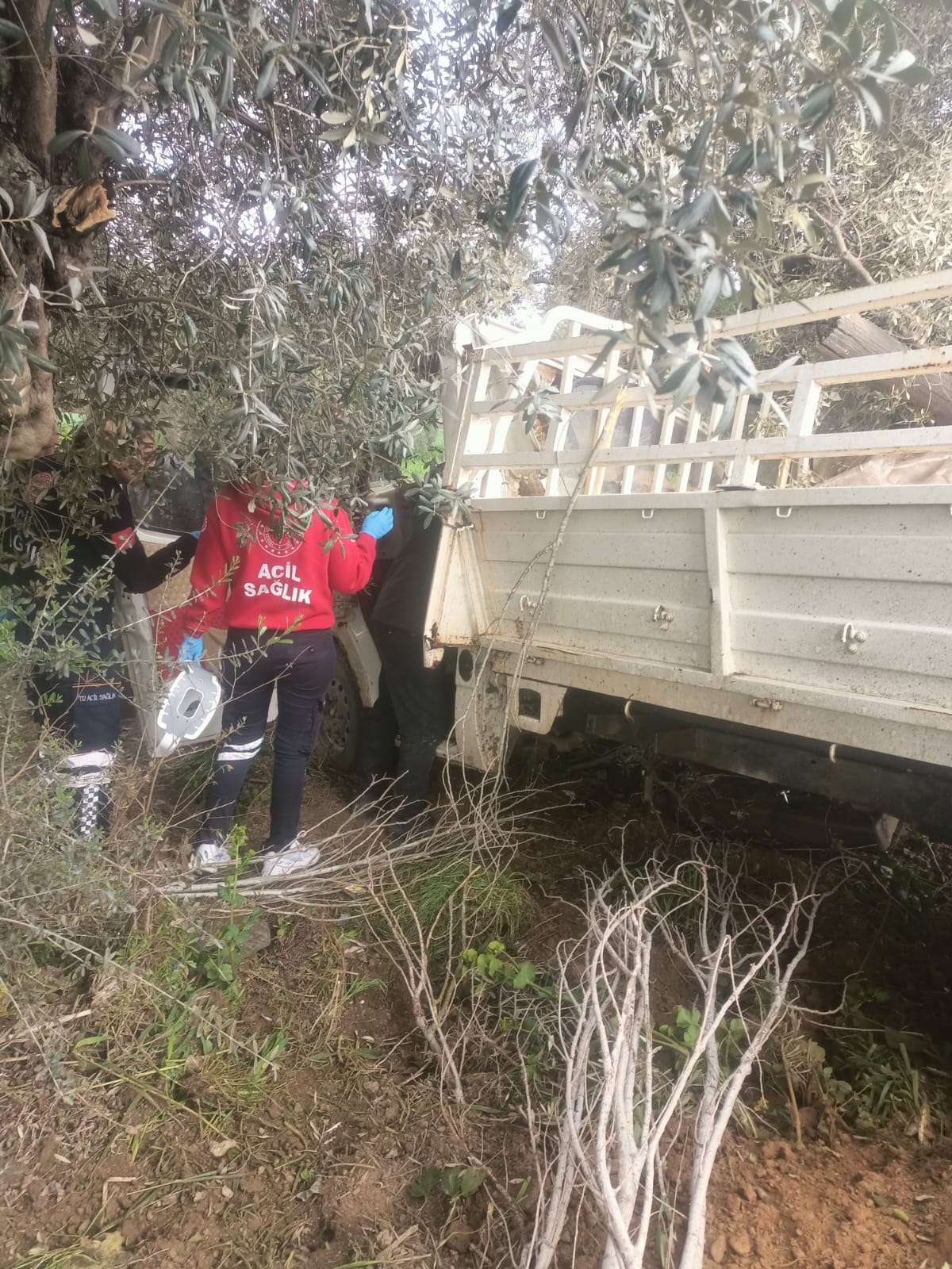 Milas'ta Trafik Kazası, yaralılar var