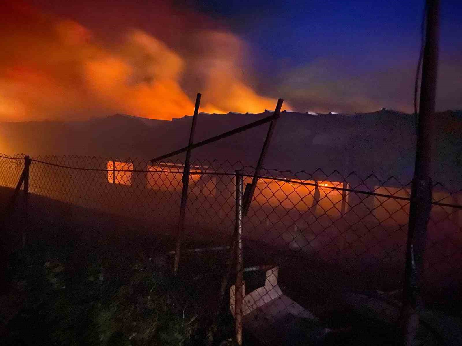 Tavuk Çiftliğinde Korkutan Yangın