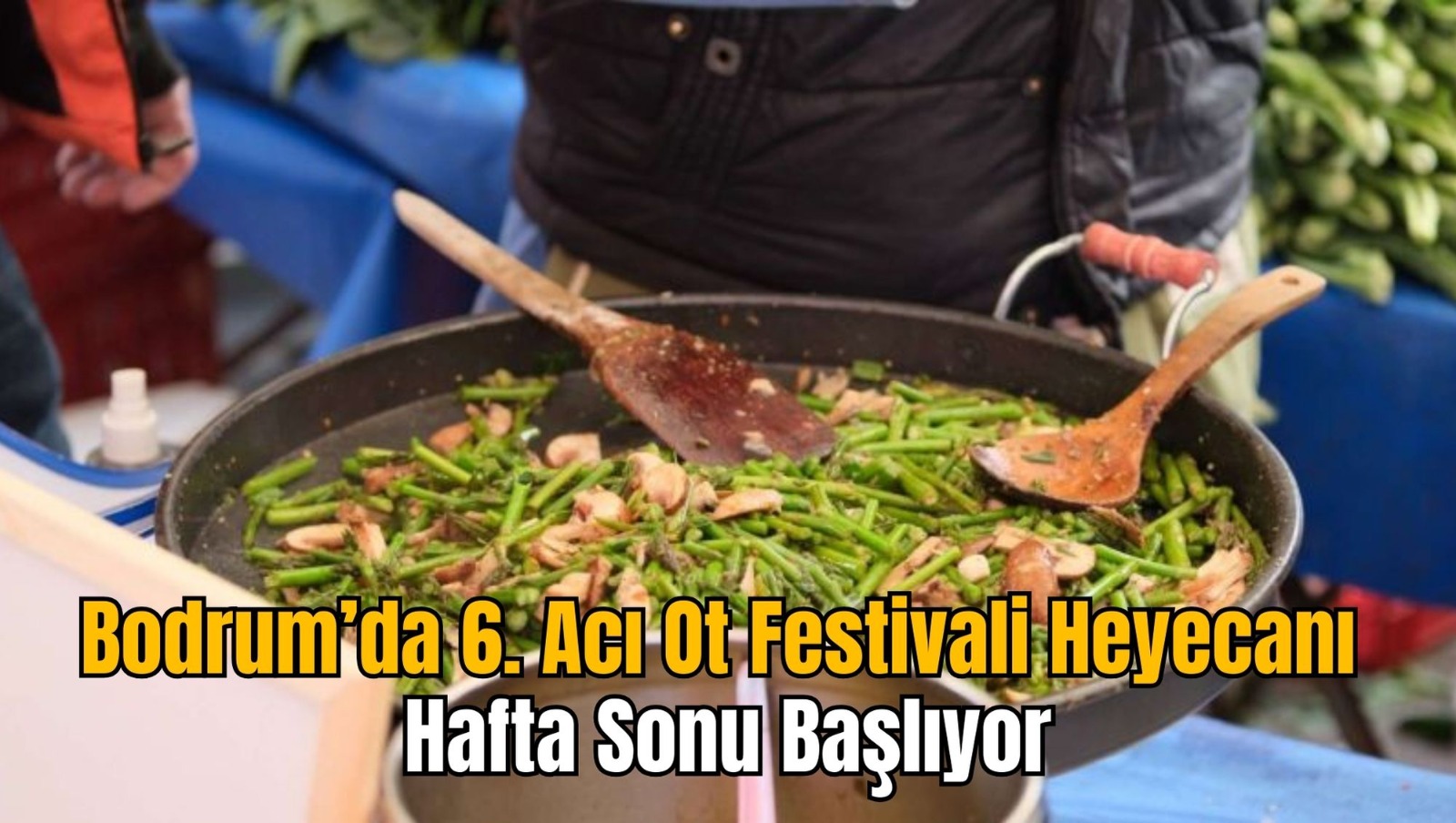 Bodrum’da 6. Acı Ot Festivali Heyecanı Hafta Sonu Başlıyor