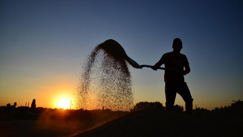 Çiftçilere 8,4 Milyar Lira Destek Ödemesi: İşte Ödeme Detayları