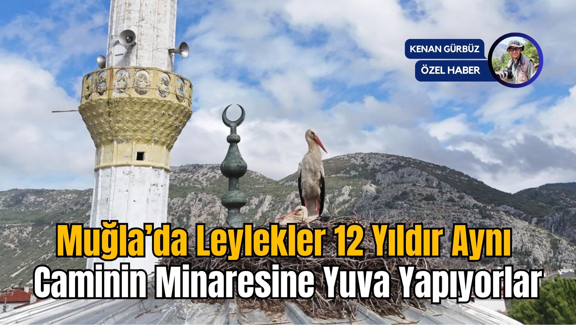 Muğla'da Leylekler 12 Yıldır Aynı Caminin Minaresine Yuva Yapıyorlar