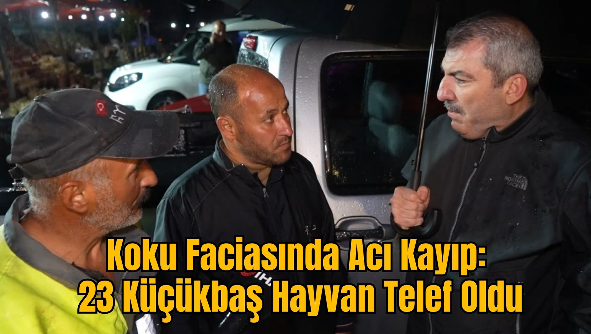 Koku Faciasında Acı Kayıp: 23 Küçükbaş Hayvan Telef Oldu
