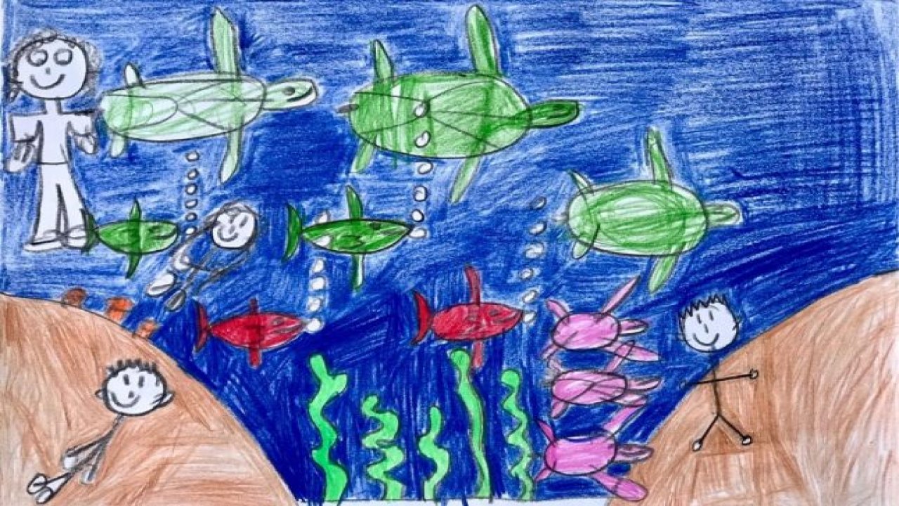 Yüzme yarışının afişleri özel ressamlardan