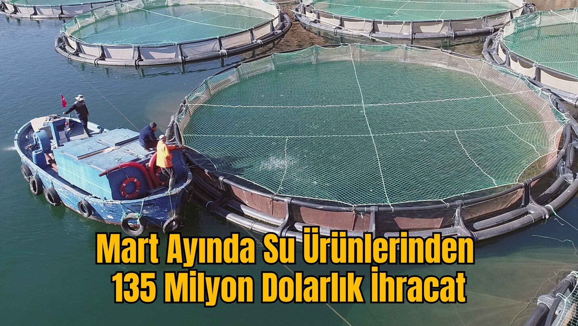 Mart Ayında Su Ürünlerinden 135 Milyon Dolarlık İhracat