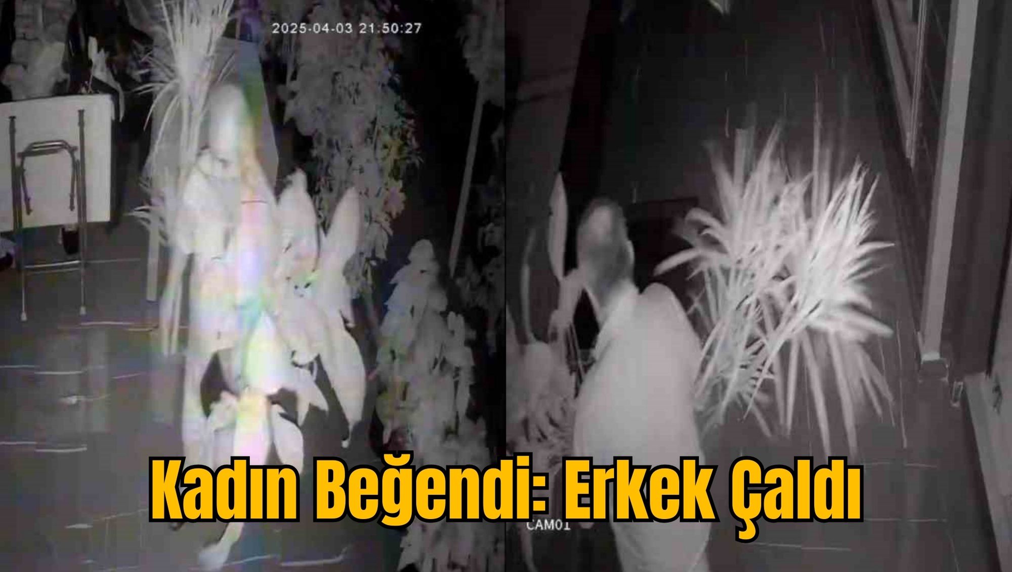 Kadın Beğendi: Erkek Çaldı