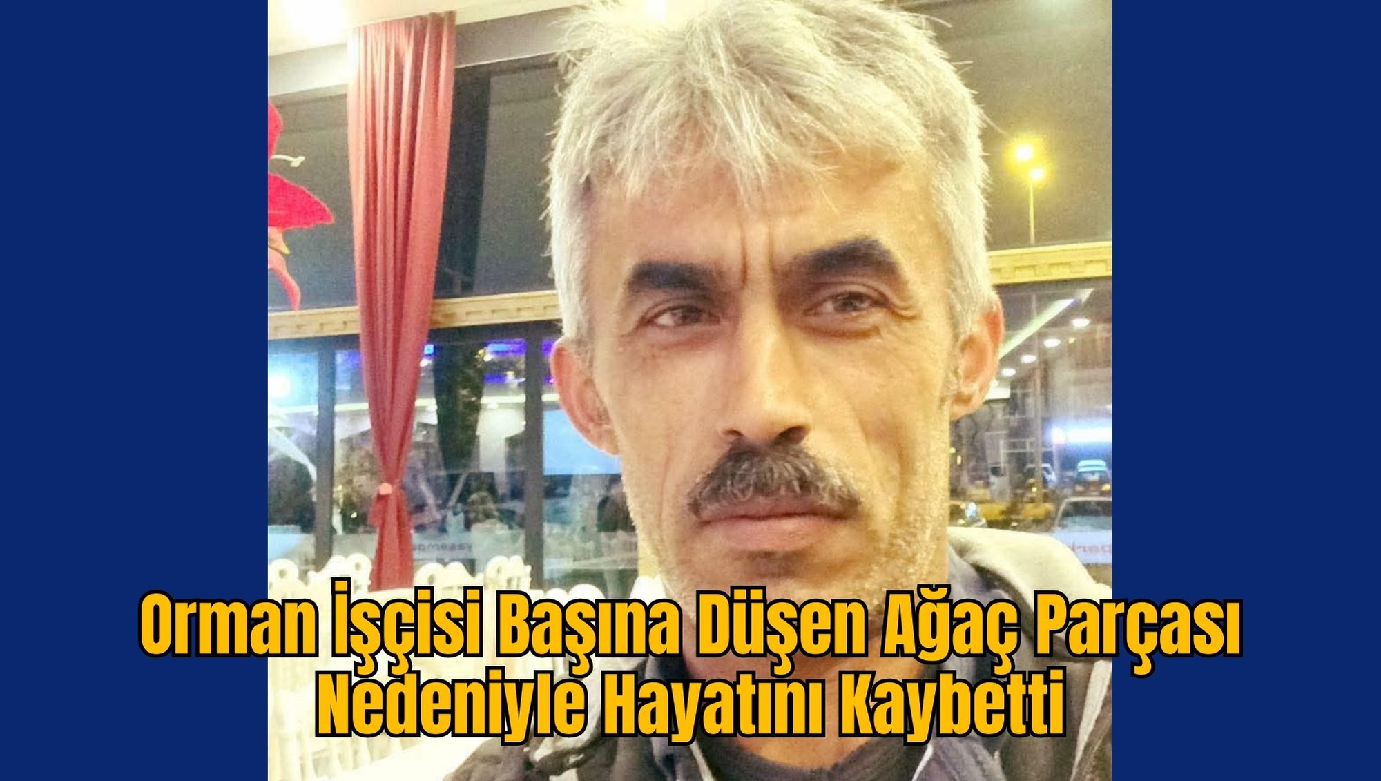 Orman İşçisi Başına Düşen Ağaç Parçası Nedeniyle Hayatını Kaybetti