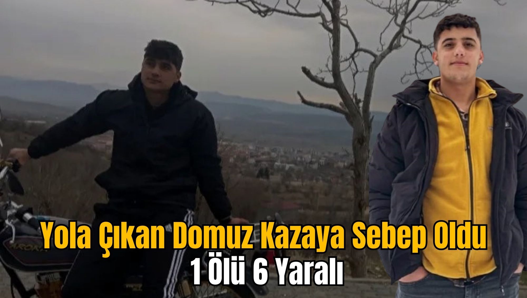Yola Çıkan Domuz Kazaya Sebep Oldu: 1 Ölü 6 Yaralı
