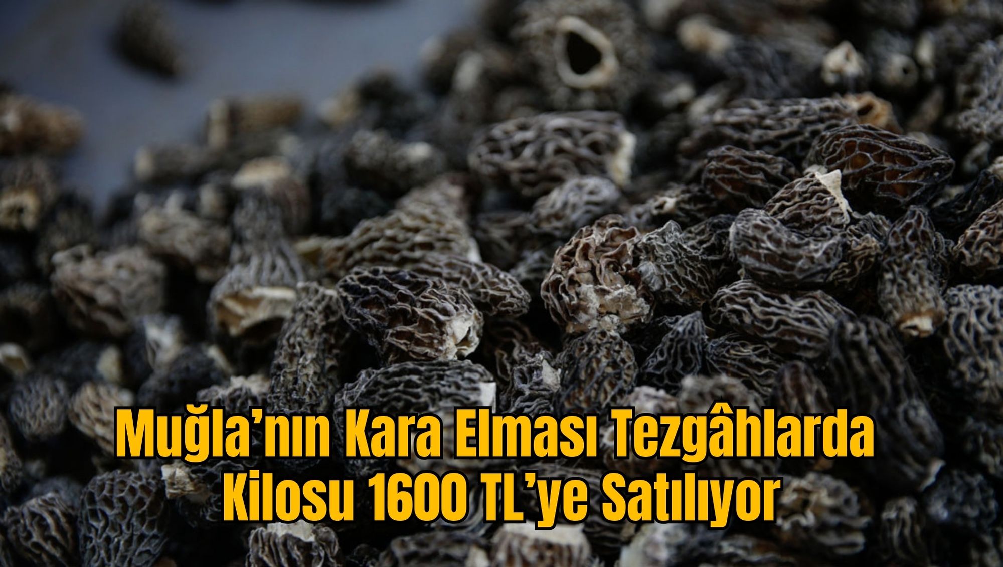 Muğla’nın Kara Elması Tezgâhlarda: Kilosu 1600 TL’ye Satılıyor