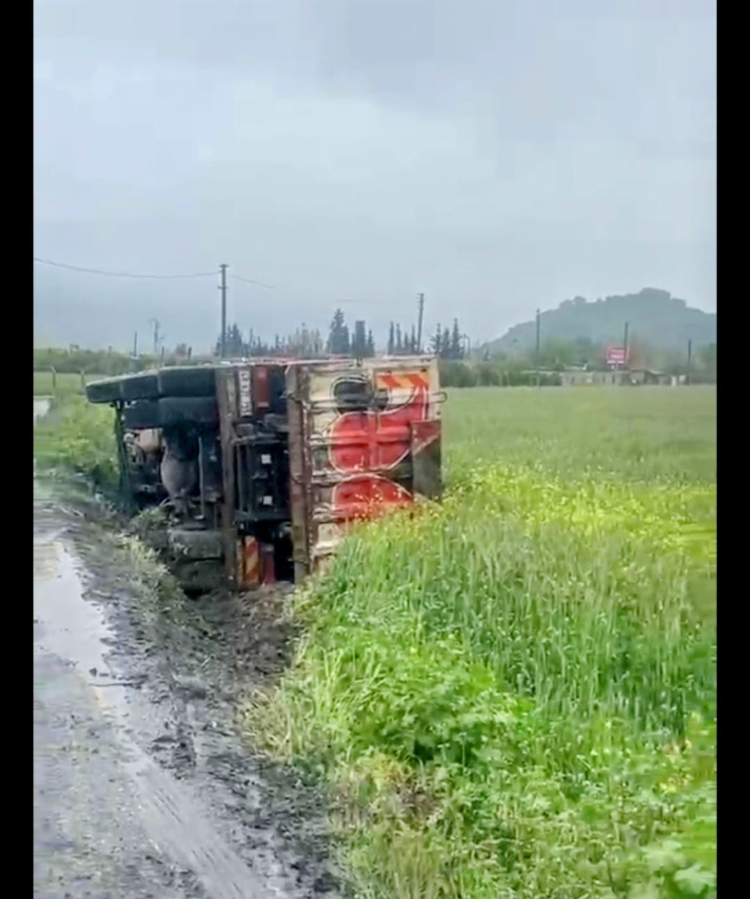 Muğla'da Kamyon Tarlaya Uçtu, Sürücü Yaralandı
