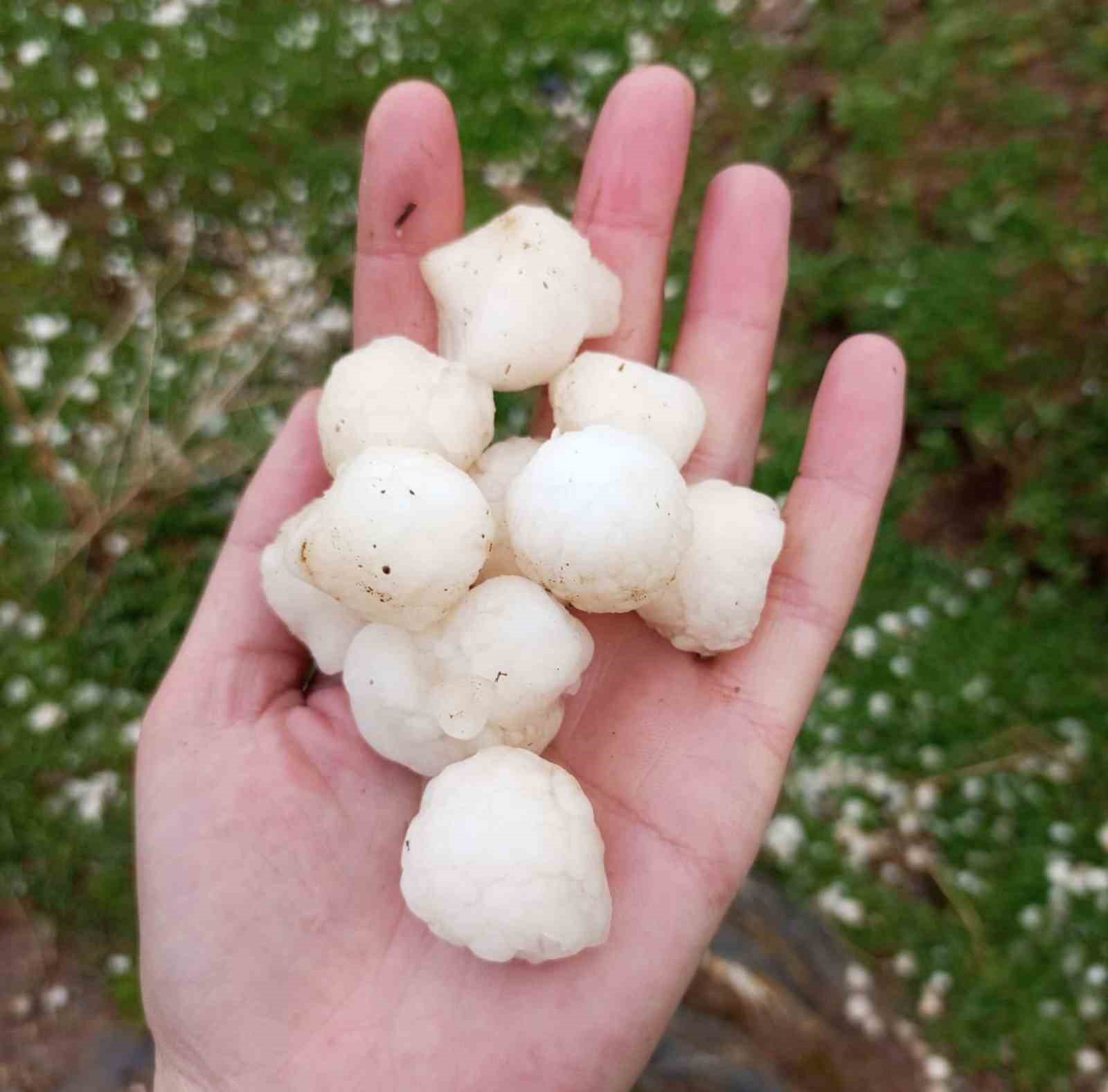 Görenler Şaşırdı: Ceviz Büyüklüğünde Dolu Yağdı