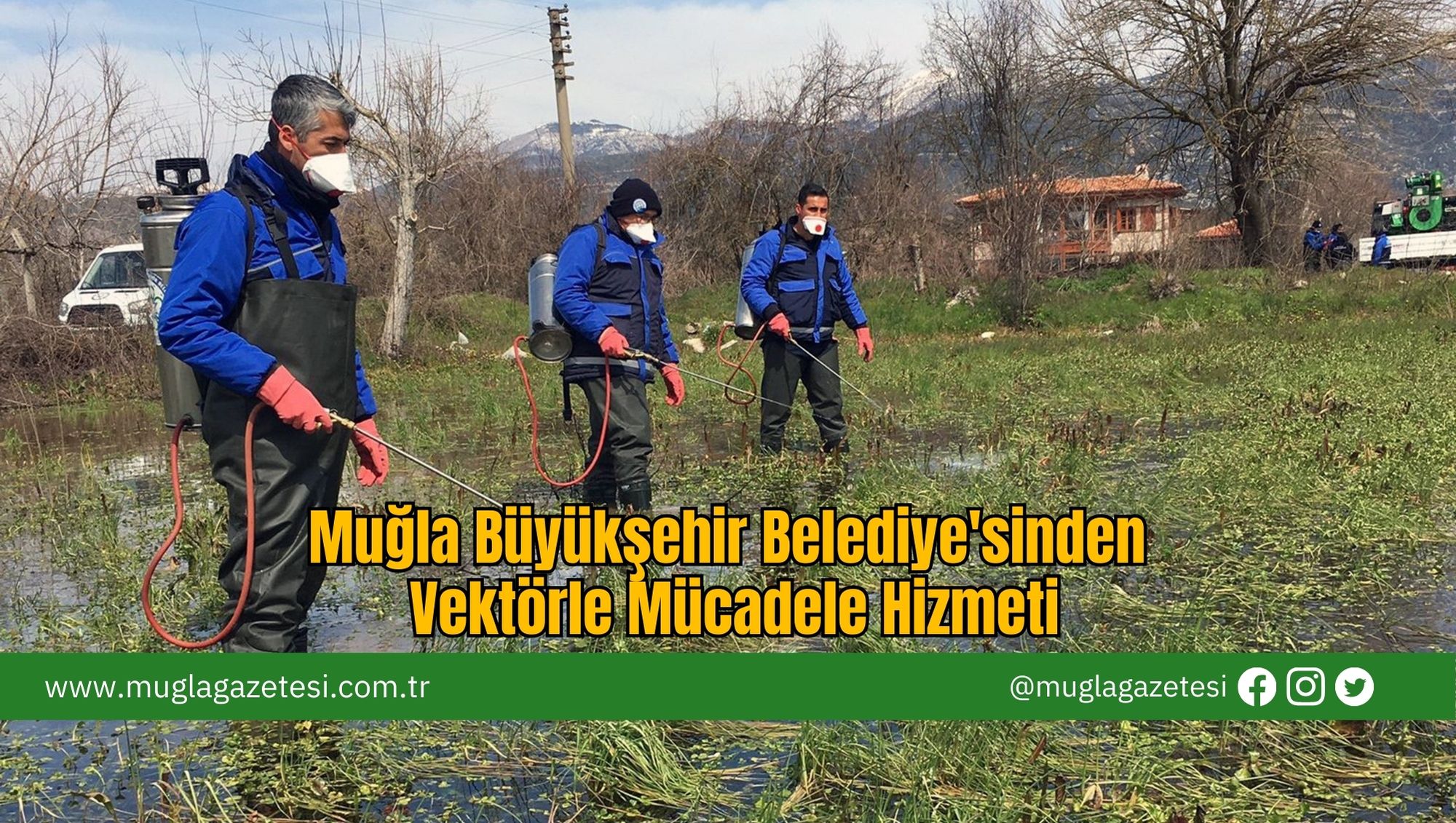 Muğla Büyükşehir Belediye'sinden Vektörle Mücadele Hizmeti