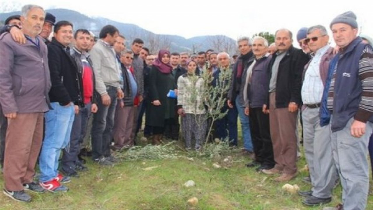 Budama kursuna yoğun ilgi
