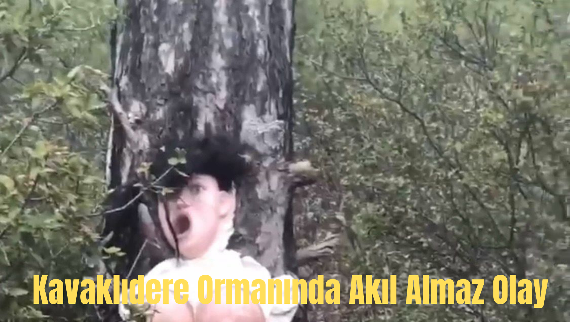 Kavaklıdere Ormanında Akılalmaz Olay