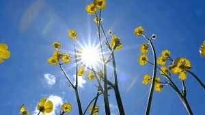 Muğla’da Bahar Tadında Bir Hafta: 5 Günlük İlçe İlçe Hava Durumu