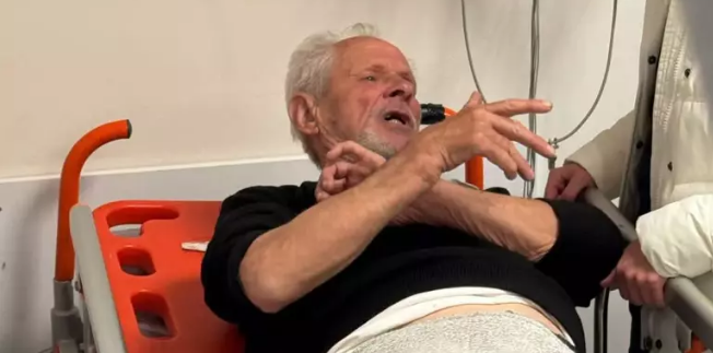 Zeytinlikte Budama Yaparken Ayı Saldırdı