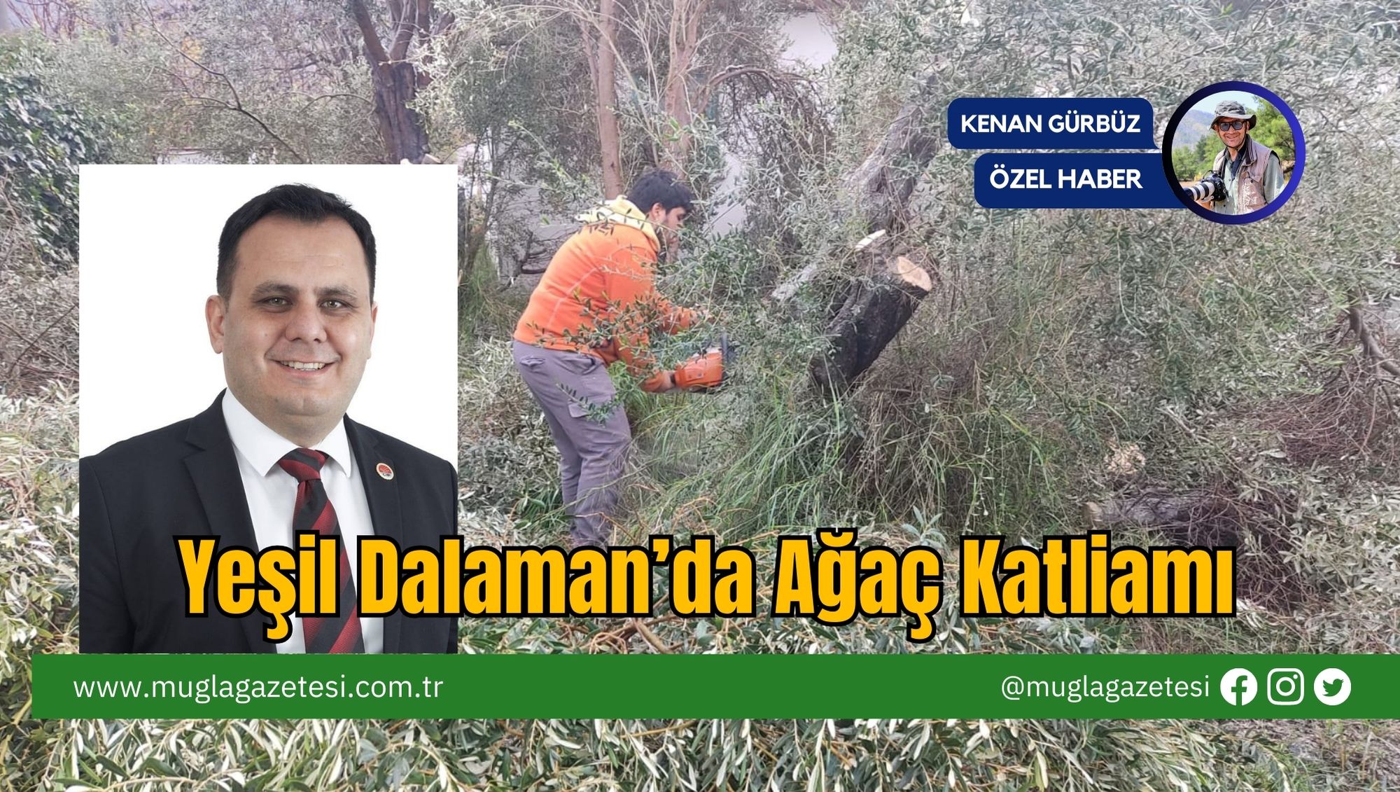 Yeşil Dalaman’da Ağaç Katliamı