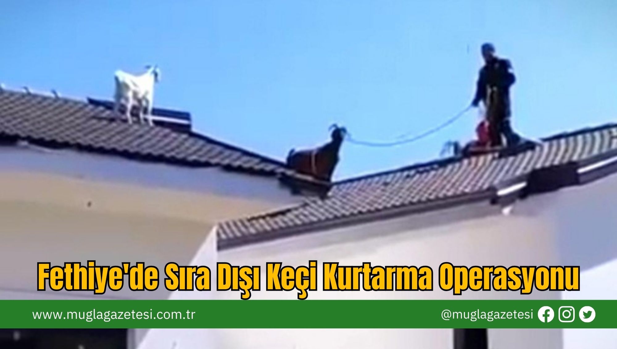 Fethiye'de Sıra Dışı Keçi Kurtarma Operasyonu