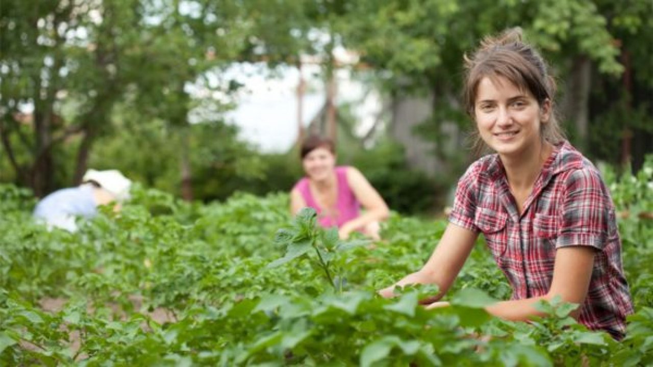 503 milyon lira hibe desteği geliyor