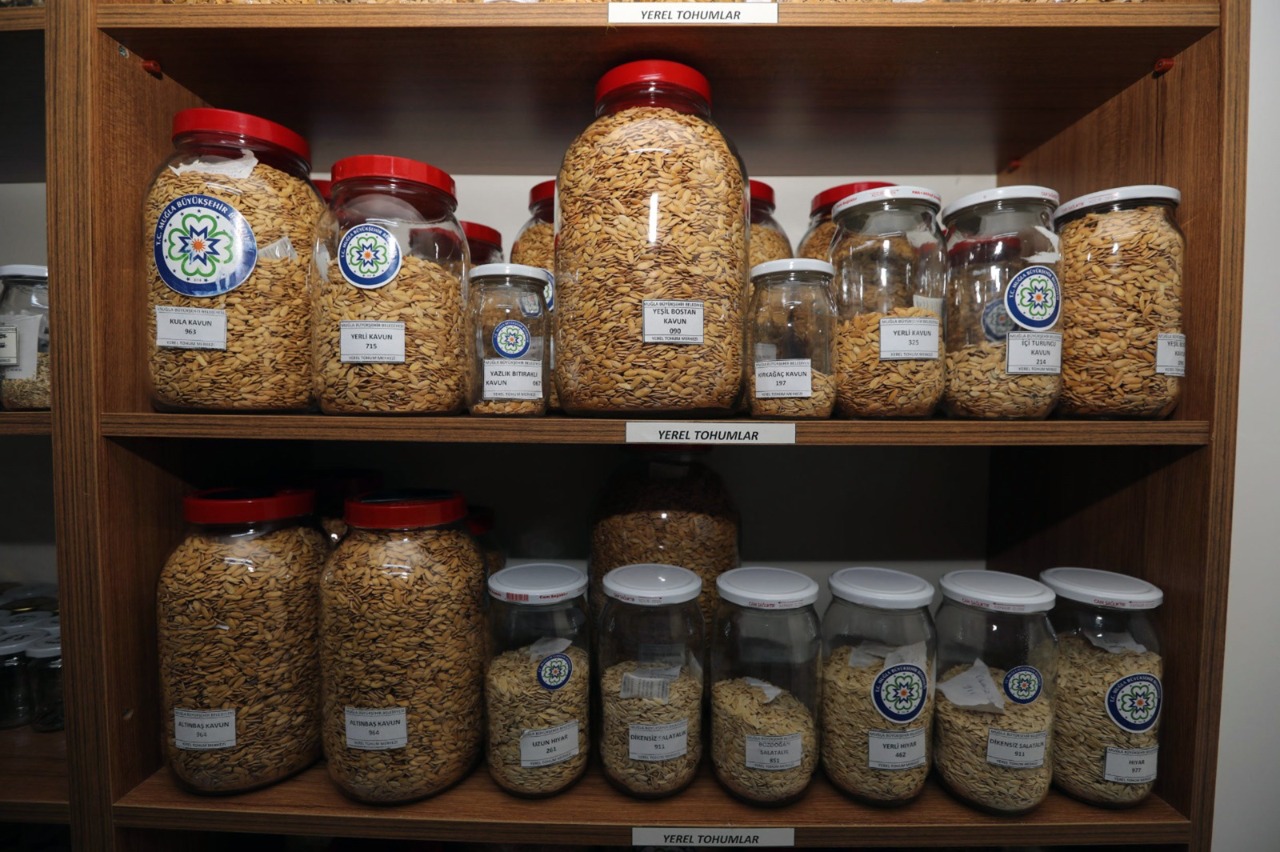 Muğla’dan 81 İle Miras Yolculuğu: 22 Milyon Yerel Tohum Toprakta