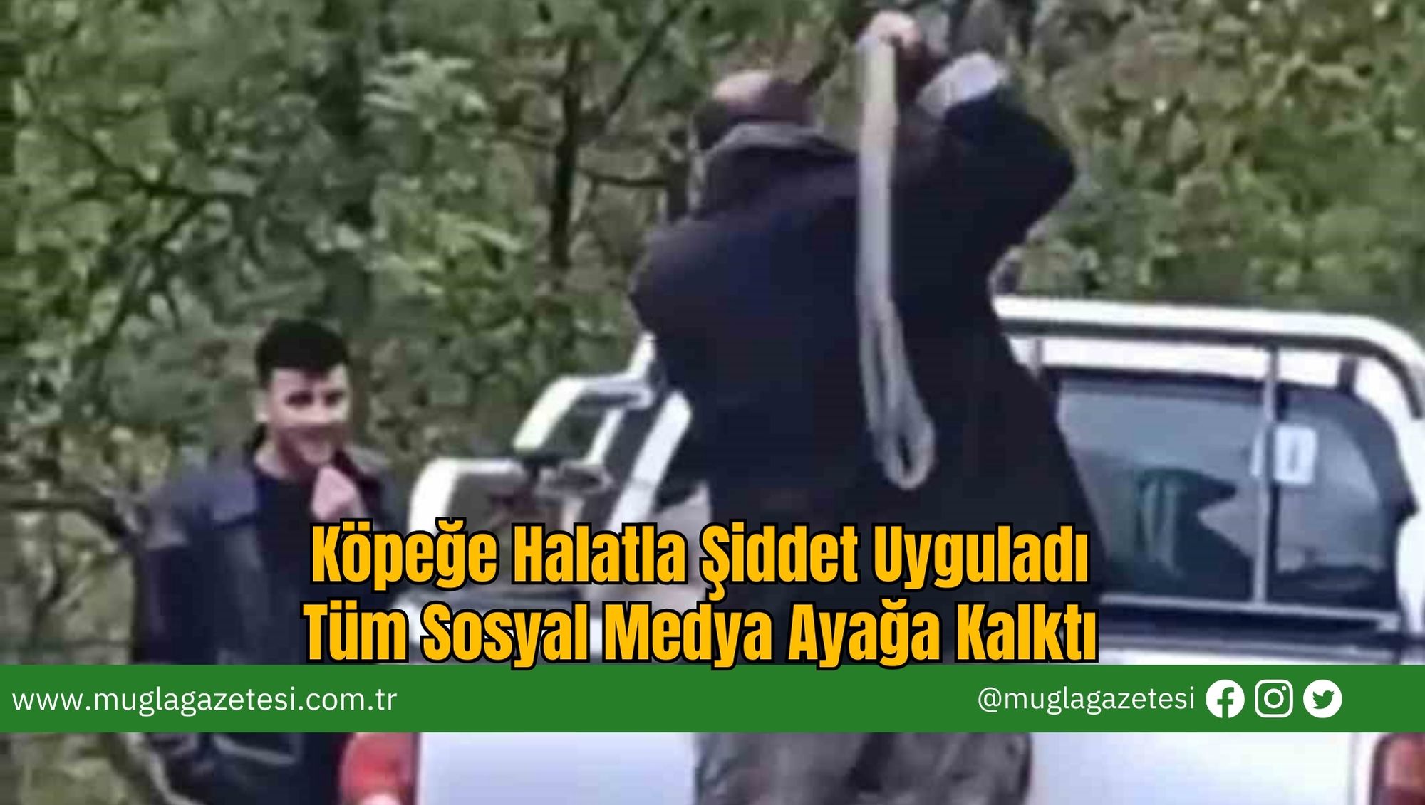 Köpeğe Halatla Şiddet Uyguladı: Tüm Sosyal Medya Ayağa Kalktı