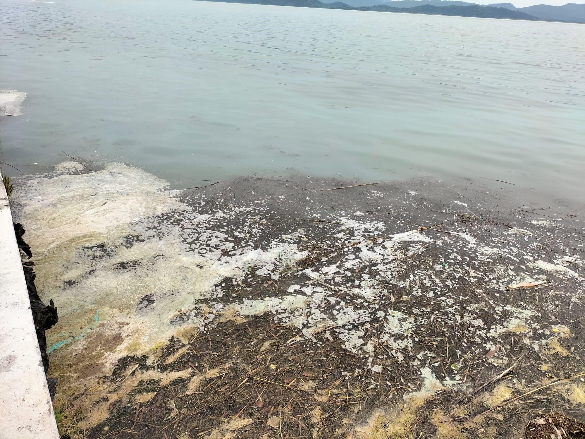 Köyceğiz Gölü’nde Müsilaj Tedirginliği