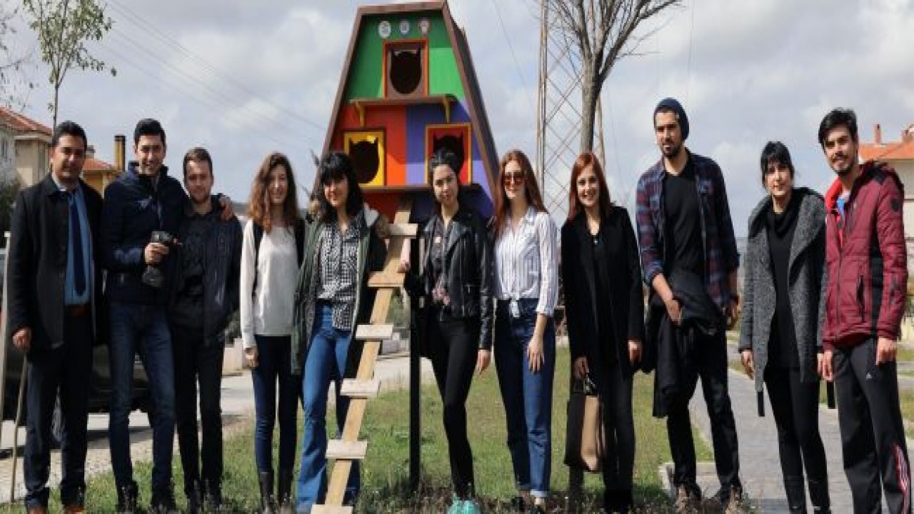 Sokak Kedileri, Yeni Yuvalarına Kavuştu