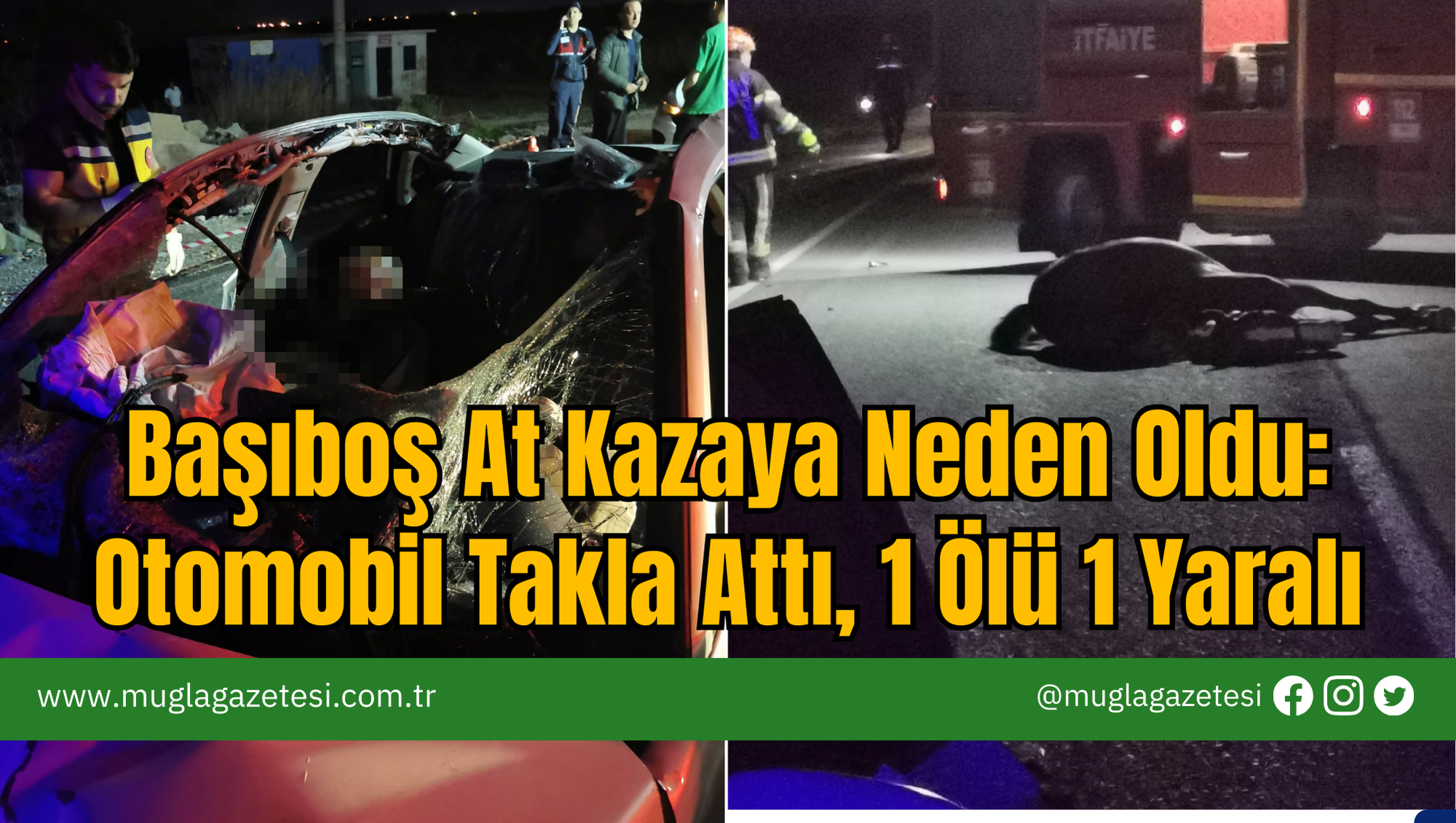 Başıboş At Kazaya Neden Oldu: Otomobil Takla Attı, 1 Ölü 1 Yaralı