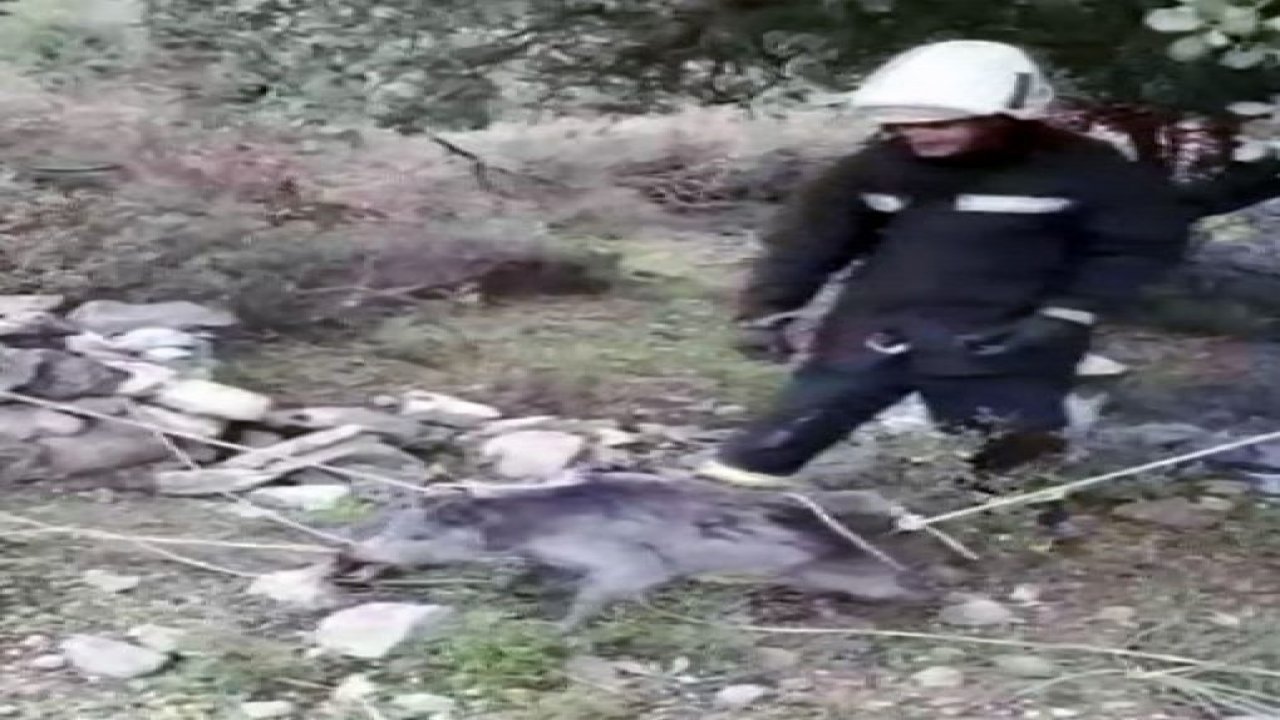 İtfaiyeden kurtarma operasyonu