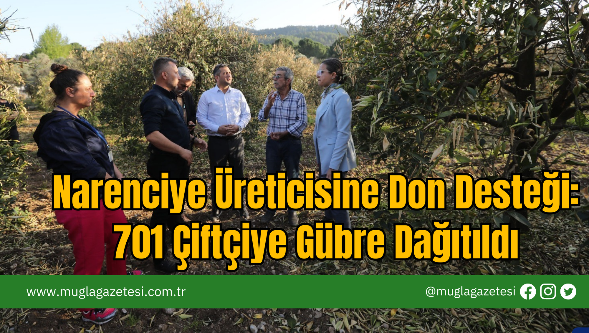Narenciye Üreticisine Don Desteği: 701 Çiftçiye Gübre Dağıtıldı