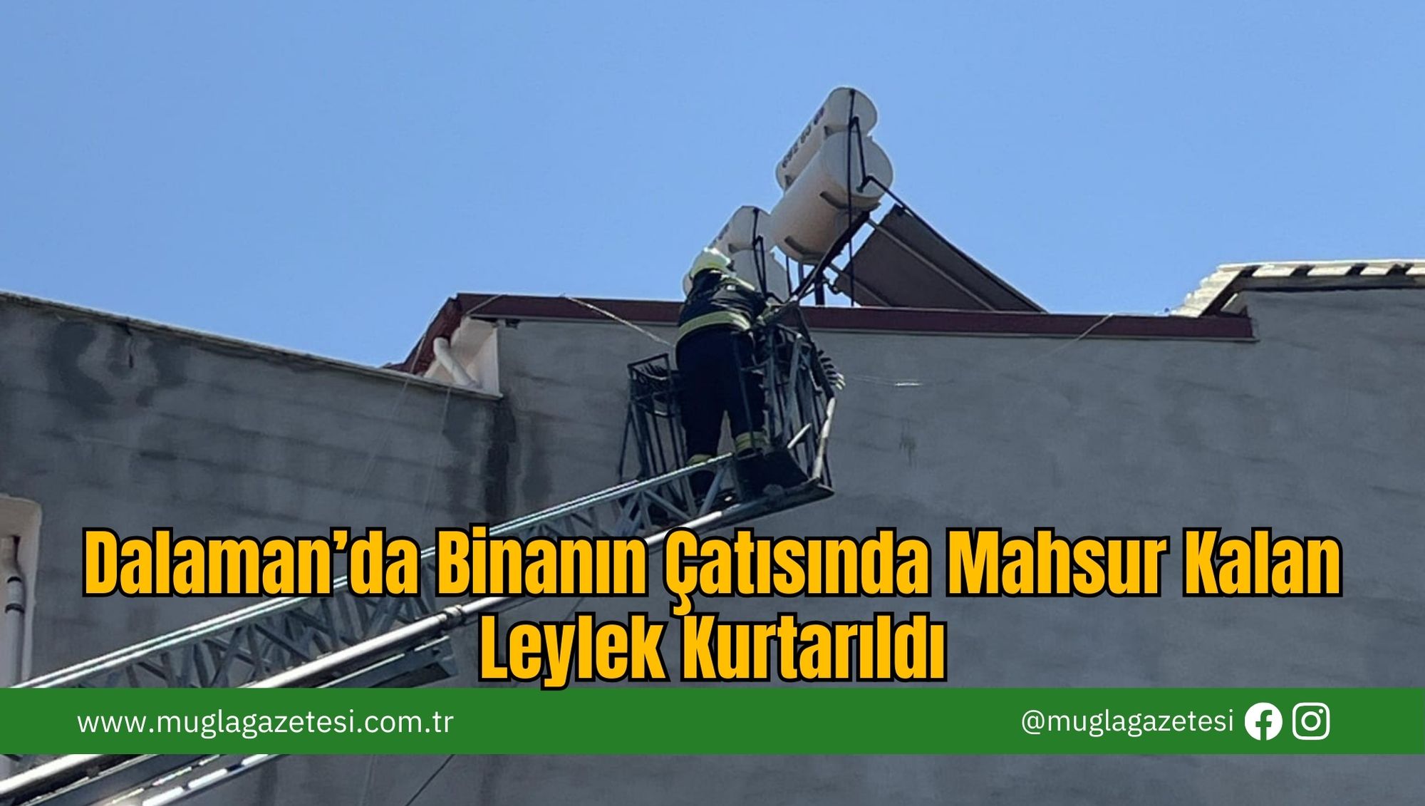 Dalaman’da Binanın Çatısında Mahsur Kalan Leylek Kurtarıldı