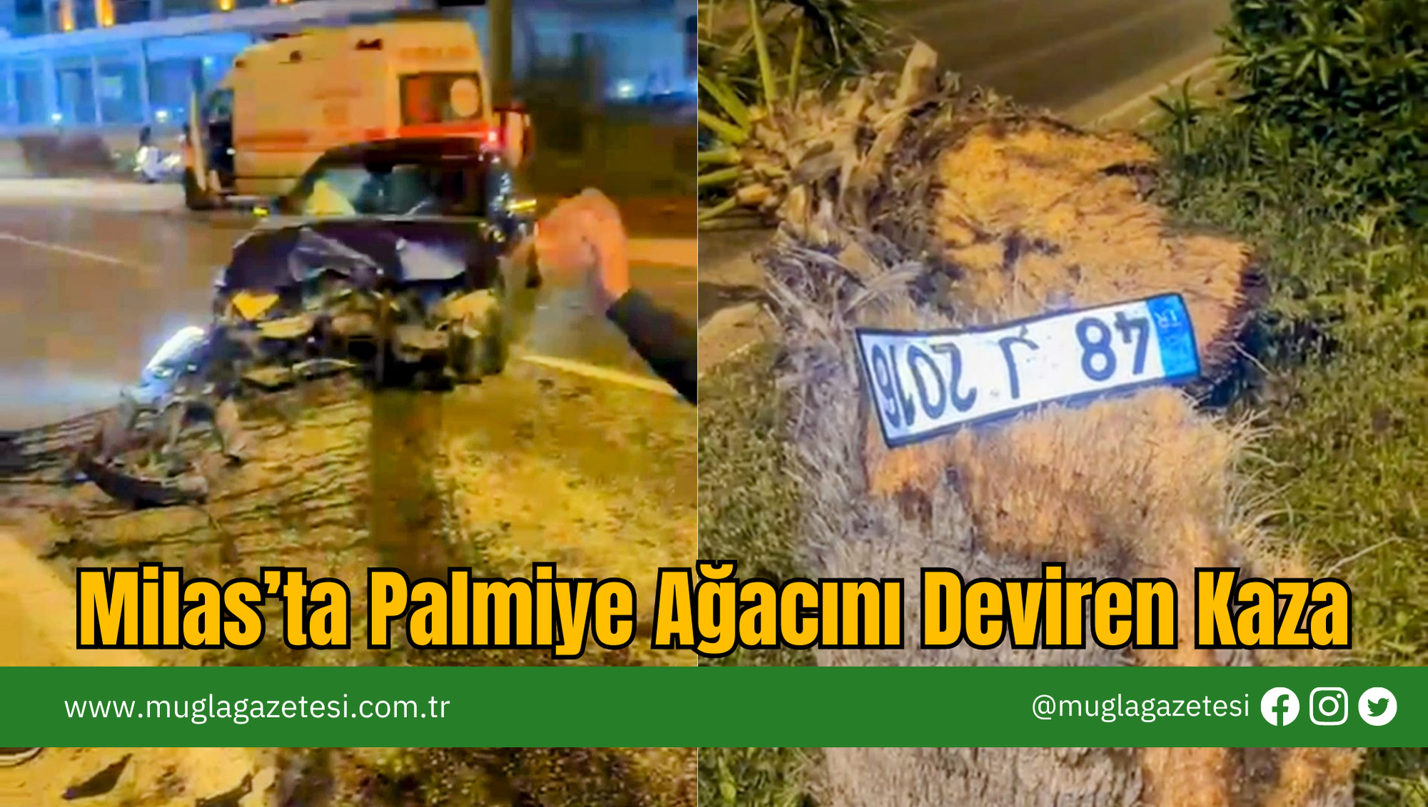 Milas’ta Palmiye Ağacını Deviren Kaza
