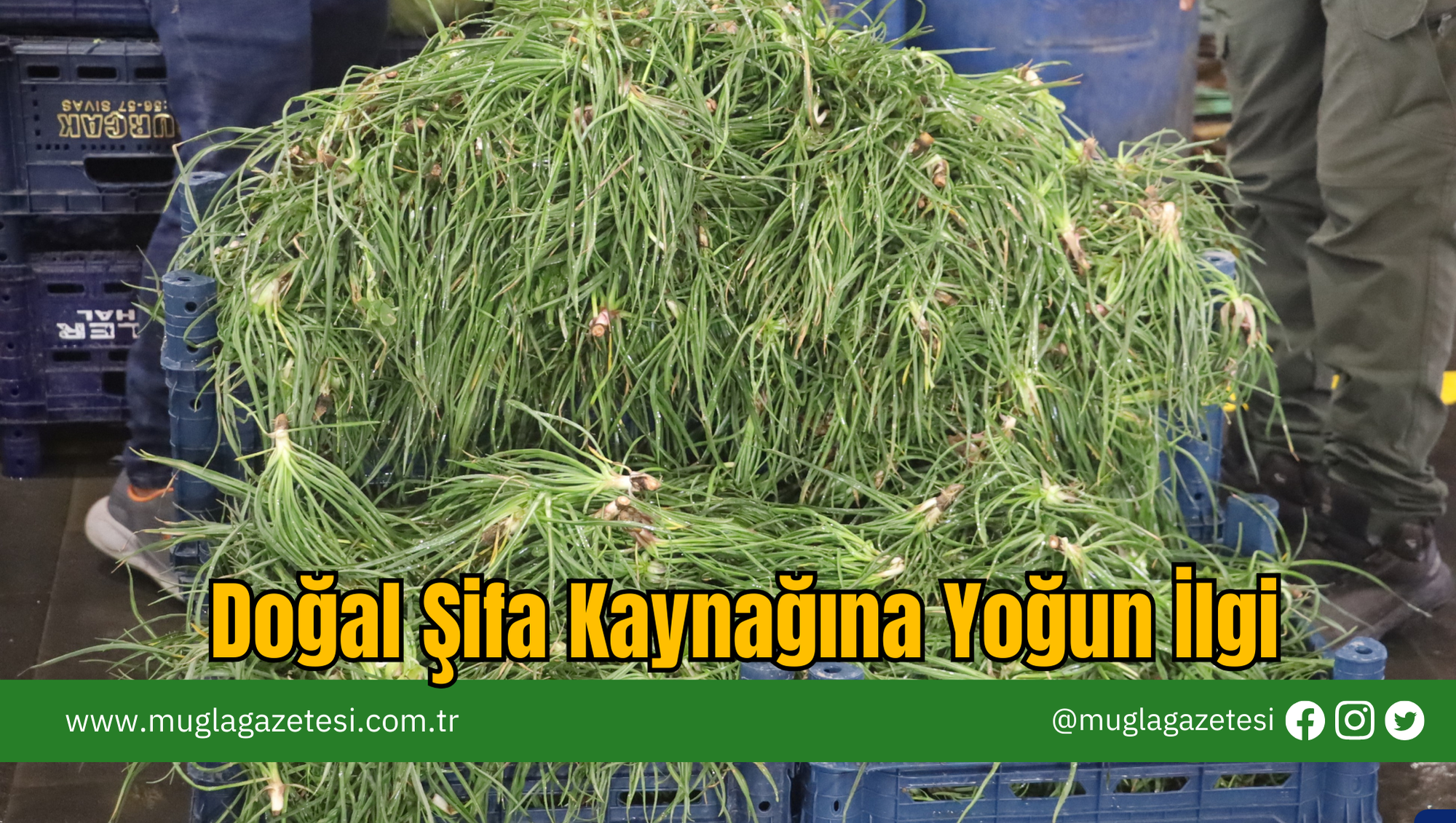 Doğal Şifa Kaynağına Yoğun İlgi