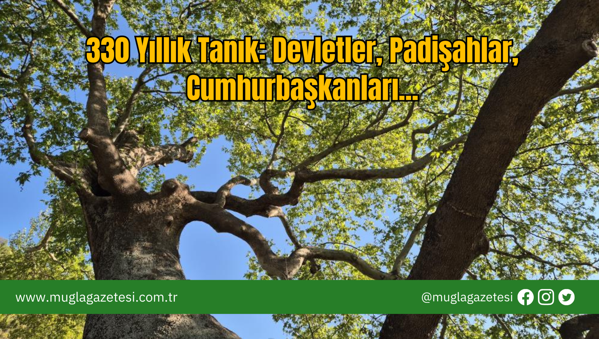 330 Yıllık Tanık: Devletler, Padişahlar, Cumhurbaşkanları...