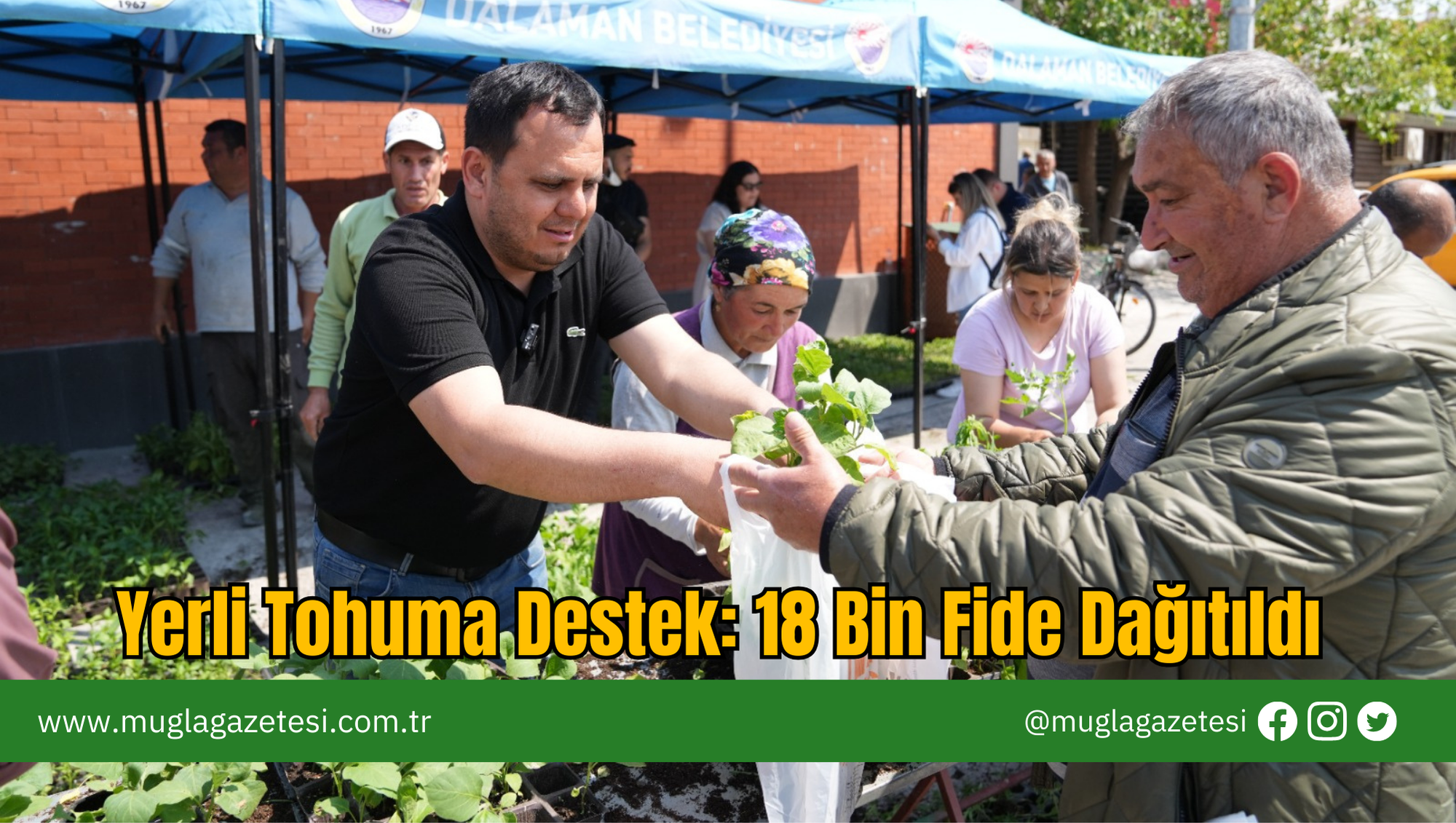 Yerli Tohuma Destek: 18 Bin Fide Dağıtıldı