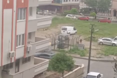 Muğla’da Domuzun Köpeğe Saldırısı Kameraya Yansıdı