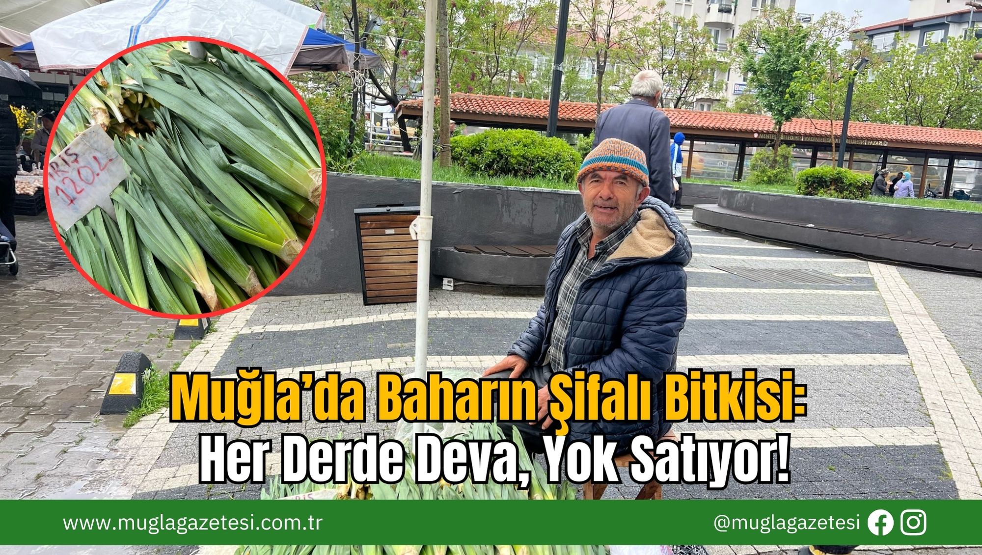 Muğla’da Baharın Şifalı Bitkisi: Her Derde Deva, Yok Satıyor!