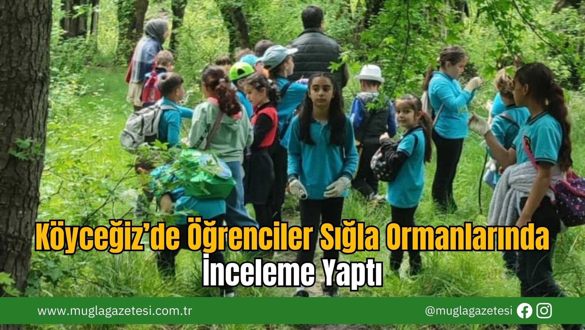 Köyceğiz’de Öğrenciler Sığla Ormanlarında İnceleme Yaptı