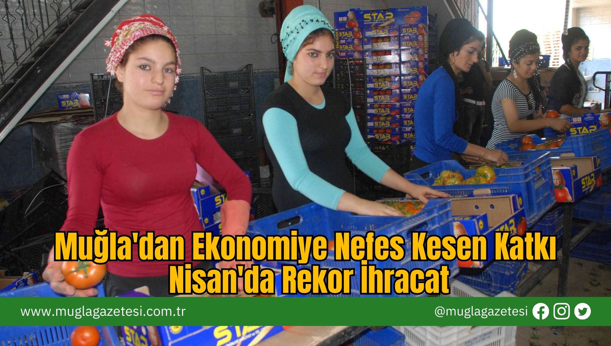 Muğla'dan Ekonomiye Nefes Kesen Katkı: Nisan'da Rekor İhracat