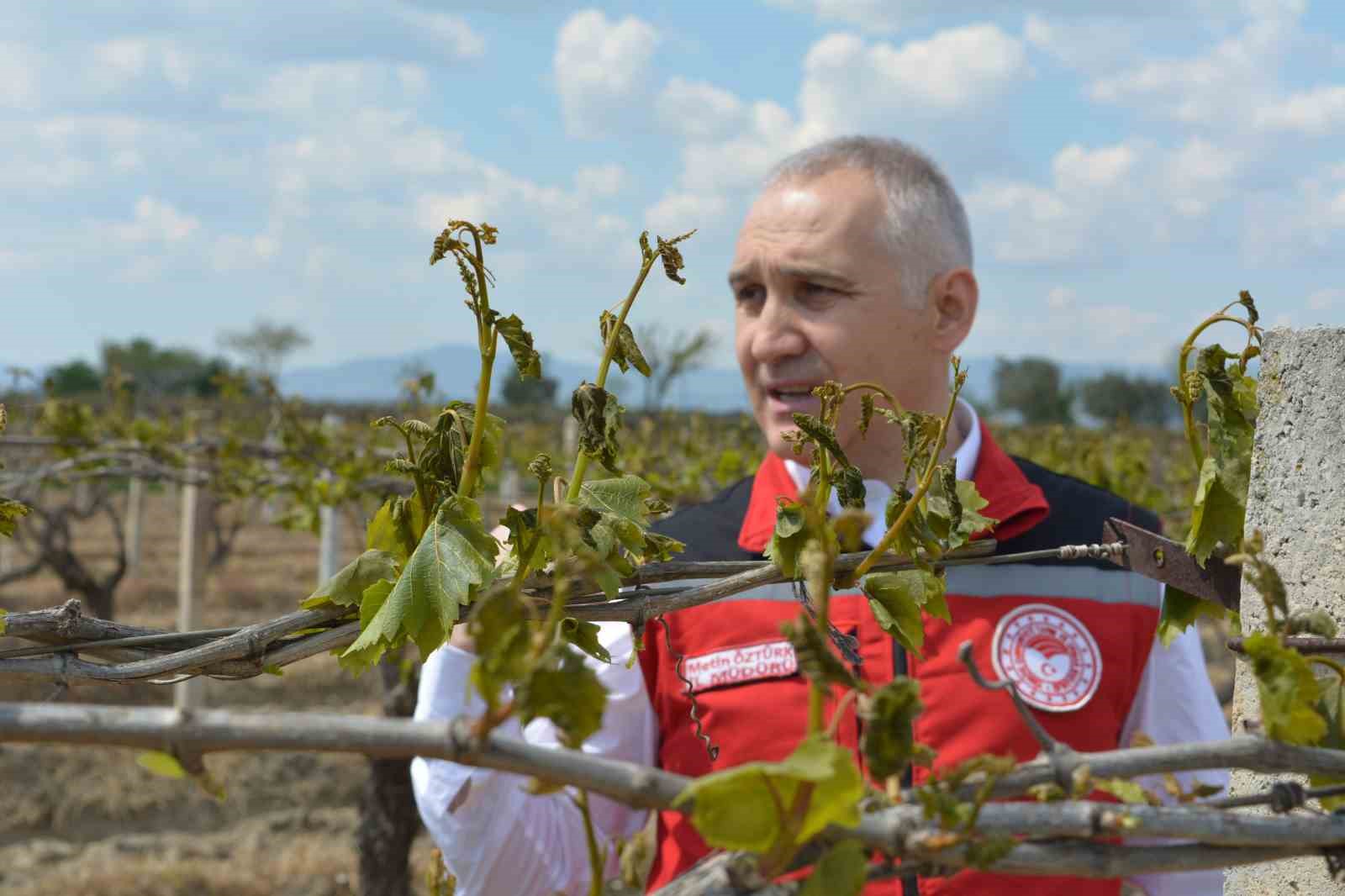 Don Vurduktan Sonra Bağlarınızı Kurtarmak İçin Neler Yapmalısınız?