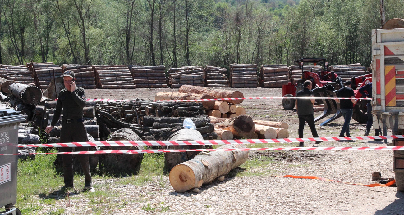 Tonlarca Tomruk Üzerine Devrildi: İşçi Hayatını Kaybetti