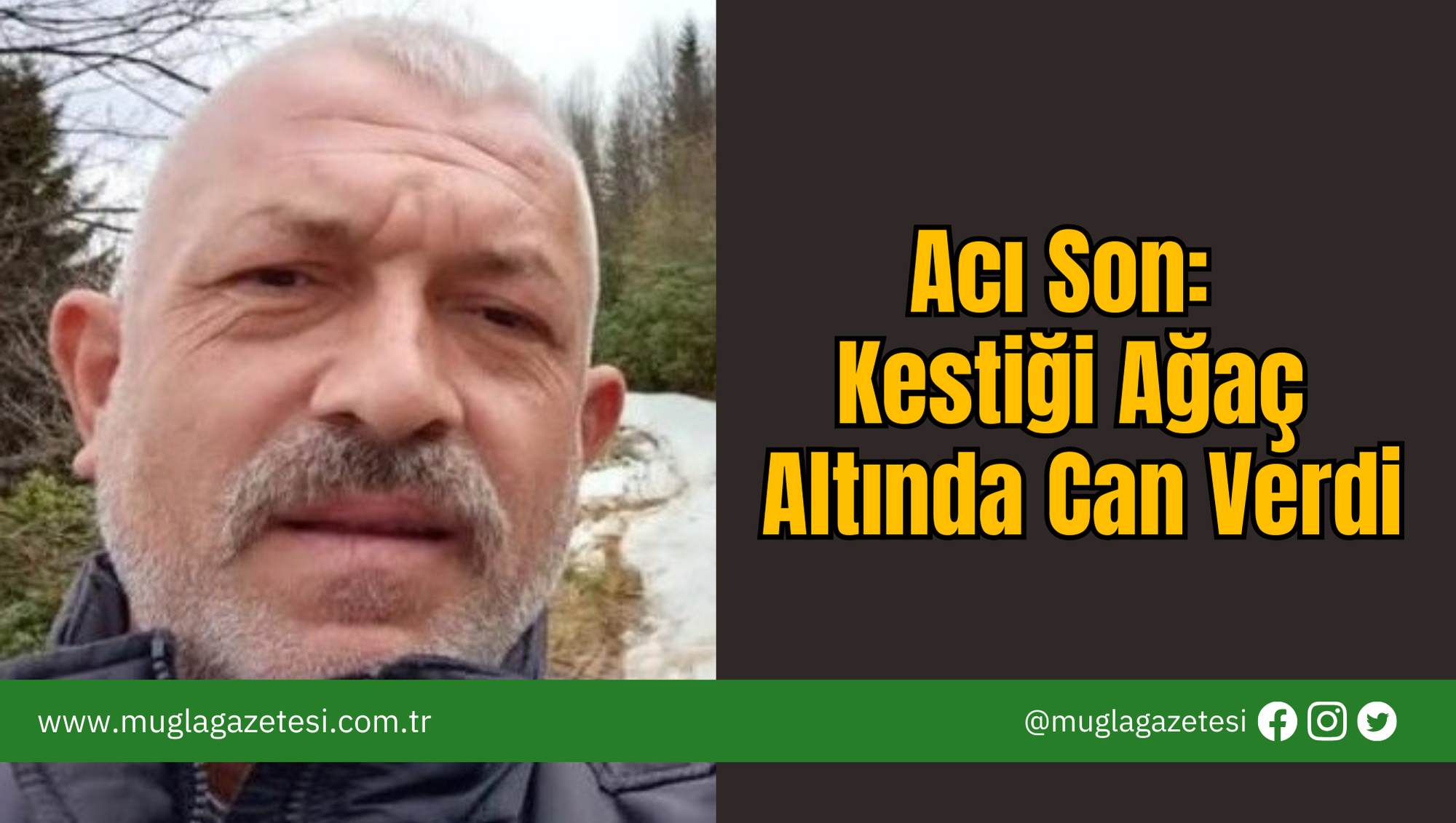 Acı Son: Kestiği Ağaç Altında Can Verdi