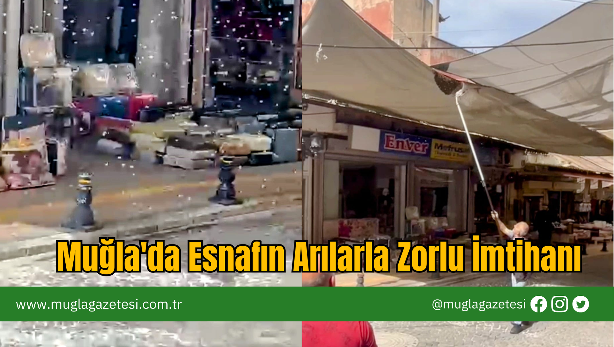 Muğla'da Esnafın Arılarla Zorlu İmtihanı