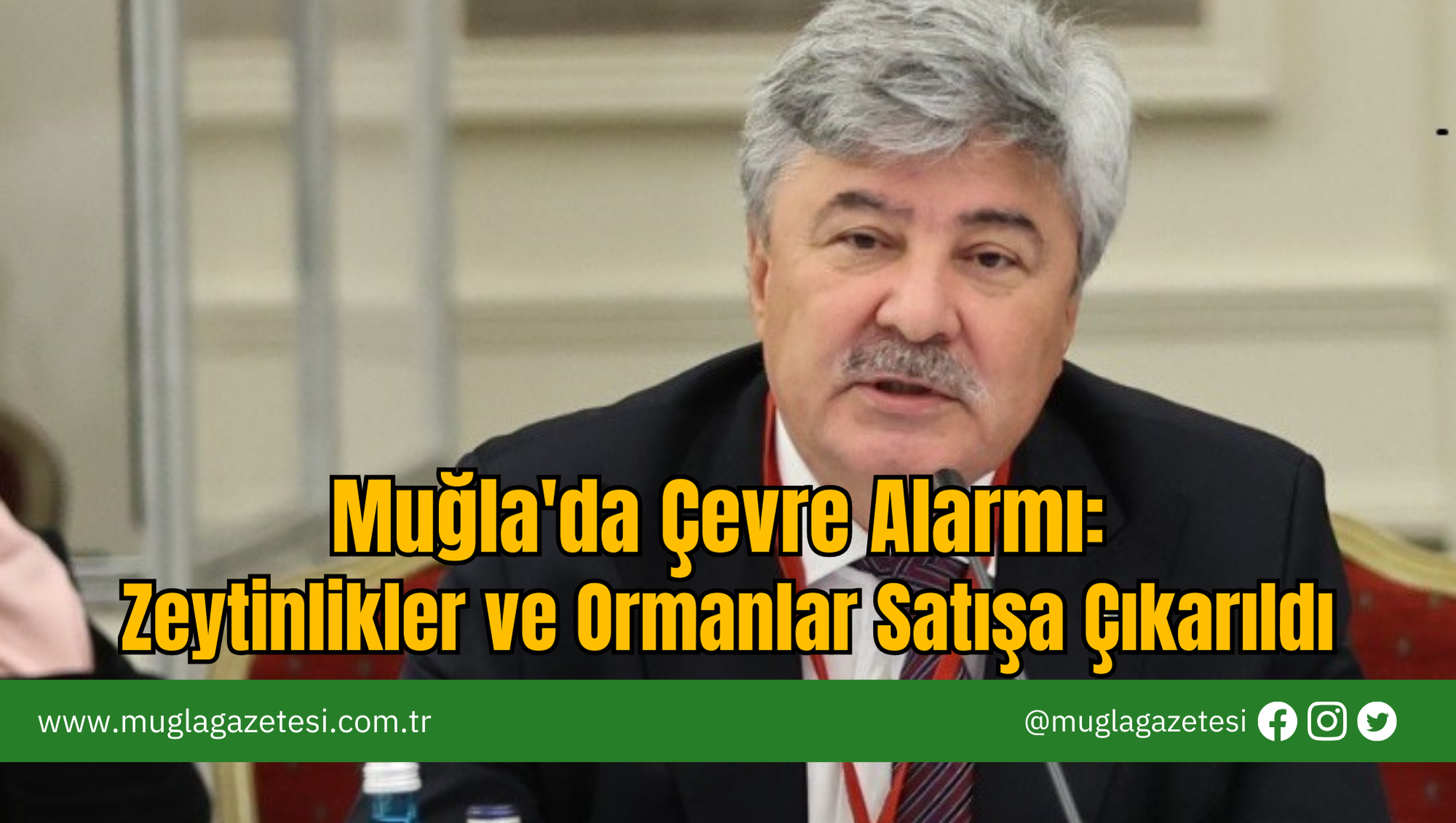 Muğla'da Çevre Alarmı: Zeytinlikler ve Ormanlar Satışa Çıkarıldı