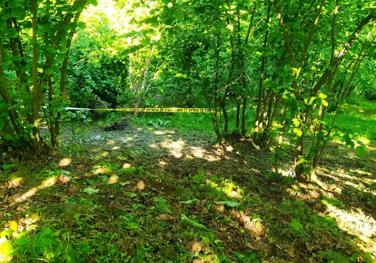 Yaşlı Adam Bahçesinde Ölü Olarak Bulundu