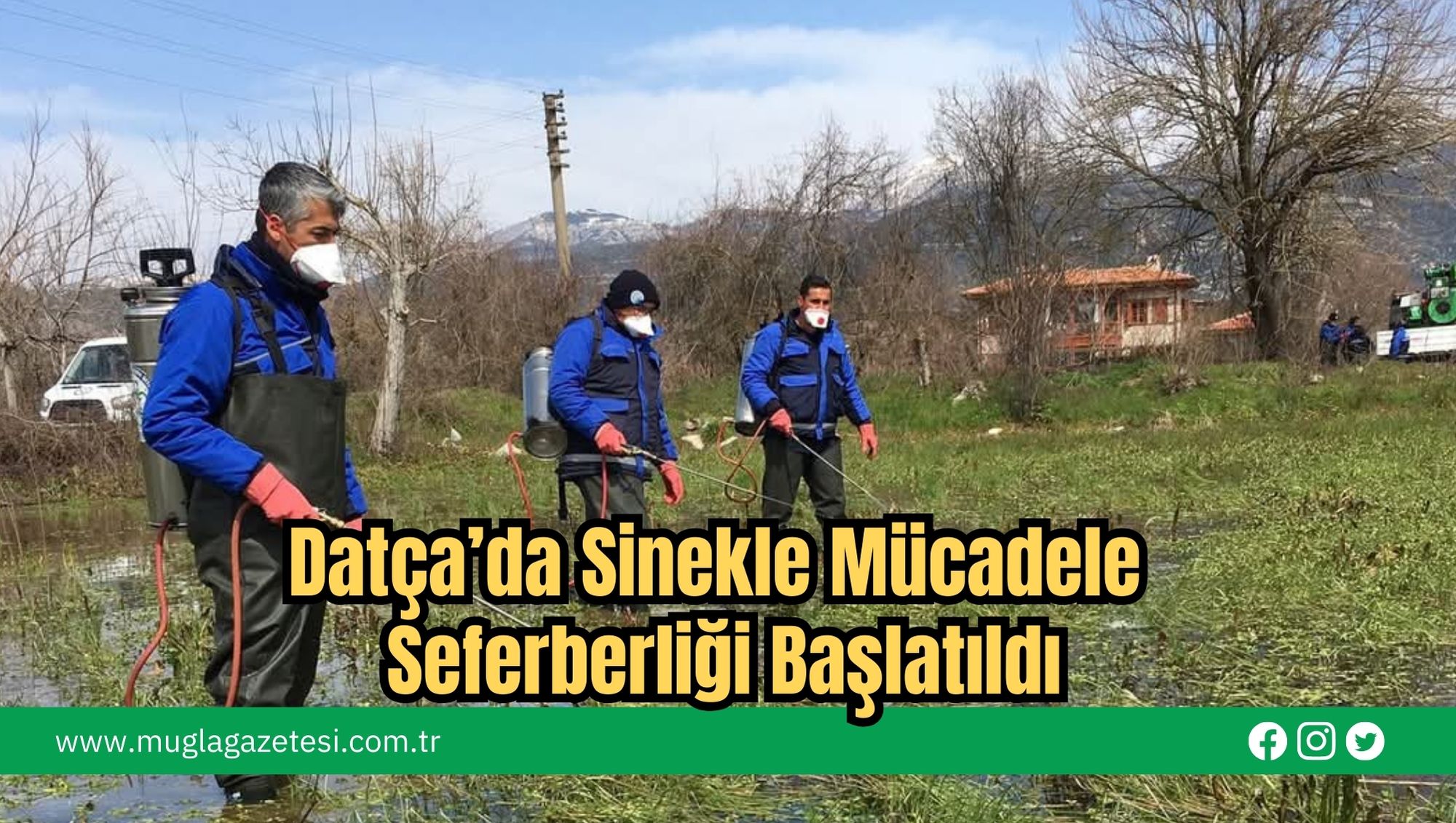 Datça’da Sinekle Mücadele Seferberliği Başlatıldı