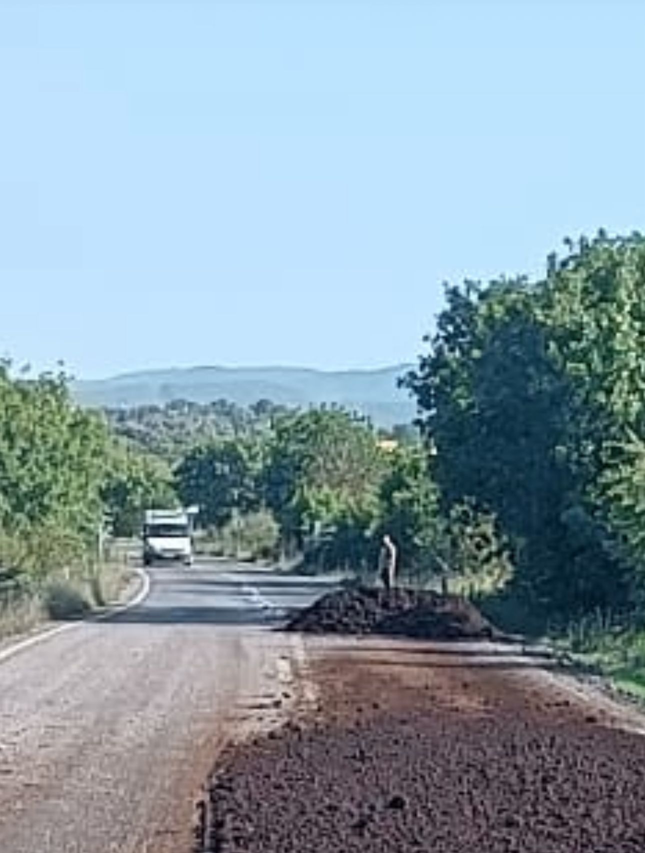 Milas-Ören Karayolu’nda Trafik Tehlikesi: Prina Yola Döküldü